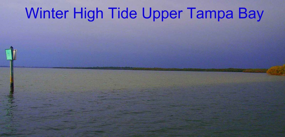florida_gulf_coast_tides_high_tide_in_upper_tampa_bay_florida