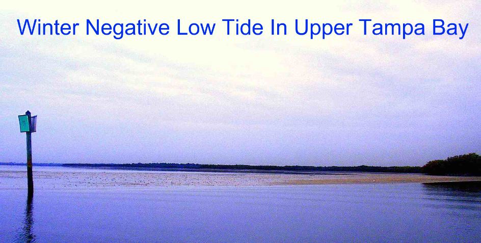 florida_saltwater_negative_low_tide_in_tampa_bay_florida