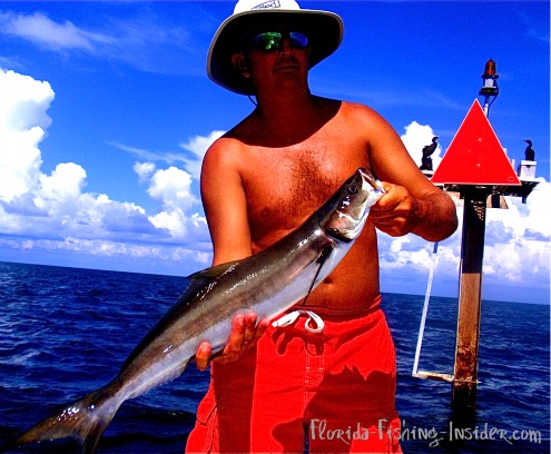 Indian River Redfish