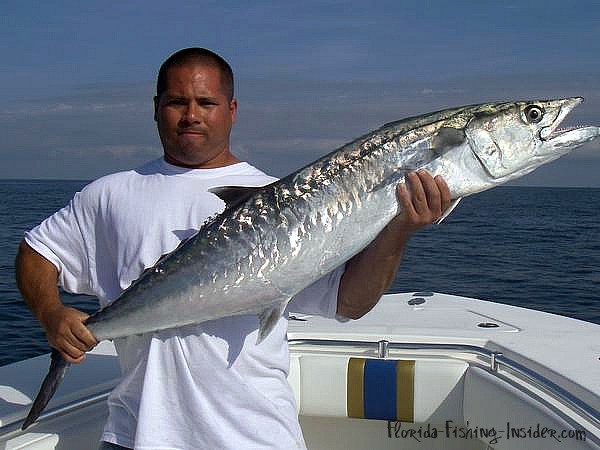 Indian River Redfish